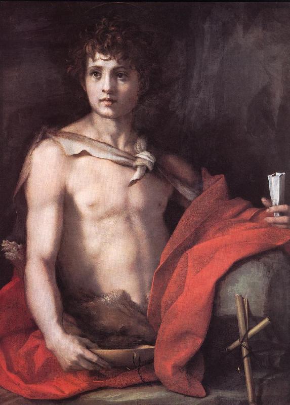 Andrea del Sarto St John the Baptist oil painting image